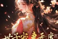 求助这本世子宠妻无度：弃妇翻身记小说在哪里可以看完结版-树莓文学