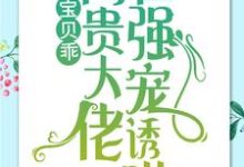 精彩章节阅读宝贝乖：高贵大佬在强宠诱哄( 简以宁陆怀瑾)免费小说在线看-树莓文学