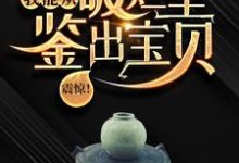 震惊！我能从破烂里鉴出宝贝！（主角陆飞）完结版免费阅读-树莓文学