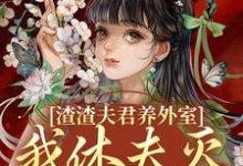 渣渣夫君养外室，我休夫灭妾另高嫁（萧时衍叶宛卿）最新章节免费阅读-树莓文学