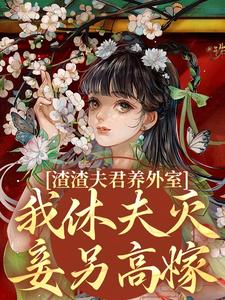 渣渣夫君养外室，我休夫灭妾另高嫁（萧时衍叶宛卿）最新章节免费阅读