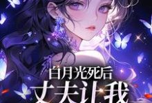 小说白月光死后,丈夫让我去给她赔罪(姜闪裴熠星)最新章节在哪看-树莓文学