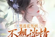 (全文)黑莲花驾到，不想谈情只想晋升免费小说全本，宁司寒林妩试读更新章节-树莓文学