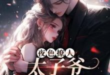 (全文)夜色撩人，太子爷为她乱了心（楚璃徐砚周）全本书籍阅读夜色撩人，太子爷为她乱了心免费小说全本-树莓文学