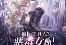 被标工具人？恶毒女配甩男主求自由宋以宁陆明聿免费小说被标工具人？恶毒女配甩男主求自由推荐完结小说-树莓文学