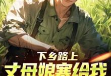 下乡路上,丈母娘塞给我一车嫁妆林辰宋雨免费小说下乡路上,丈母娘塞给我一车嫁妆推荐完结小说-树莓文学