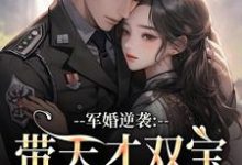 (全文)军婚逆袭：带天才双宝找爸去随军（姜宁宁）试读更新章节军婚逆袭：带天才双宝找爸去随军免费小说-树莓文学