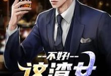(全文)不好!这渣女要虐死了(顾迟云云晚晚)全本书籍阅读不好!这渣女要虐死了免费小说全本-树莓文学