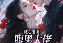 藏心引诱！腹黑大佬暗宠作精美人推荐完结小说，藏心引诱！腹黑大佬暗宠作精美人周旻单念免费小说全本-树莓文学