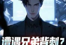(全文)遭遇兄弟背刺？我直接去偷家完结小说推荐秦东骆小蝶全本书籍阅读-树莓文学