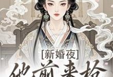 新婚夜，他前来抢夺我的心热门小说排行榜新婚夜，他前来抢夺我的心温棠谢云州免费小说全本-树莓文学