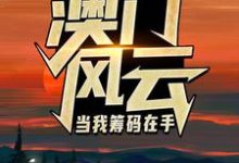 澳门风云：当我筹码在手最新完结小说澳门风云：当我筹码在手王东曼丽免费小说-树莓文学