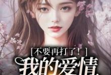 (全文)不要再打了！我的爱情我自己选完结小说推荐苏暖裴撤全本书籍阅读-树莓文学