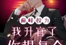 巅峰权力：我升官了你想复合热门小说排行榜巅峰权力：我升官了你想复合林磊免费小说全本-树莓文学