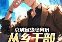 (全文)京城名少隐身份,从乡干部开始逆袭(谢斌裴靖泽)全本免费在线阅读-树莓文学