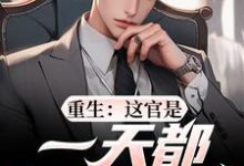 重生：这官是一天都不想当了完整版小说，重生：这官是一天都不想当了梁惟石唐欣怡全章小说阅读-树莓文学