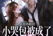 将错就错：小哭包被成了大佬心尖宠完整版小说，将错就错：小哭包被成了大佬心尖宠慕汀洲姜桃全章小说阅读-树莓文学