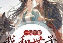 一见钟情，我和世子天生一对完整版小说一见钟情，我和世子天生一对(沈如风苏云锦)全章小说阅读-树莓文学