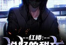 (全文)红楼：说好的甜文咋变恐怖文了完结小说推荐齐洛全本书籍阅读-树莓文学