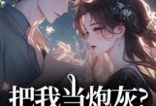 把我当炮灰?来人!给我虐(谢宏屿林昭)全章小说阅读-树莓文学