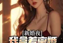 新婚夜,我拿着离婚协议黯然离场叶修远白若雪完结小说推荐,新婚夜,我拿着离婚协议黯然离场全章小说阅读-树莓文学