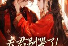 夫君别哭了！我来替你虐渣完整版小说，夫君别哭了！我来替你虐渣沈婉宁韩云泽全章小说阅读-树莓文学