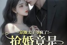 京圈太子爷疯了！抢婚竟是蓄谋已久陆妄辞虞晚颜热门小说排行榜京圈太子爷疯了！抢婚竟是蓄谋已久免费小说-树莓文学