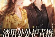 (全文)渣男处处护青梅，重生改嫁他急了（方毅沈绮）免费小说渣男处处护青梅，重生改嫁他急了试读更新章节-树莓文学