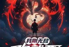 (全文)我刚无敌,你就要跟我退婚?苏阳完结小说推荐我刚无敌,你就要跟我退婚?试读更新章节-树莓文学