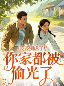 苏圆圆婆婆别虐了！你家都被偷光了全本免费在线阅读