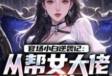 官场小白逆袭记：从帮女大佬开始（唐诚李文静）小说推荐官场小白逆袭记：从帮女大佬开始全章小说阅读-树莓文学