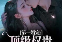 (全文)第一婚宠:顶级权贵追妻火葬场叶惊兰薄戎淮全本免费在线阅读-树莓文学