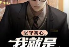 坚守初心，我就是基层清官丁俊丰贺征热门小说排行榜坚守初心，我就是基层清官免费小说-树莓文学