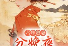 (全文)六年贤妻,分娩夜心死换和离(姜玉筝沈宴沉)全本免费在线阅读-树莓文学
