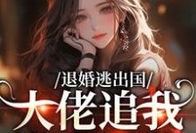 退婚逃出国,大佬追我满世界跑(江野崎楚灵兮)小说推荐退婚逃出国,大佬追我满世界跑全章小说阅读-树莓文学
