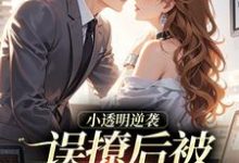 (全文)小透明逆袭许惟昭方肃礼最新完结小说小透明逆袭免费阅读-树莓文学
