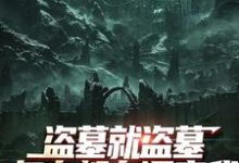 盗墓就盗墓，怎么都在调查我吴邪白小白完结小说推荐，盗墓就盗墓，怎么都在调查我全章小说阅读-树莓文学