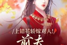 上错花轿嫁对人（萧念窈陆奉行）小说推荐上错花轿嫁对人全章小说阅读-树莓文学