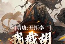 隋唐：丑拒李二，我截胡众枭雄李渊吴缺完结小说推荐隋唐：丑拒李二，我截胡众枭雄全本书籍阅读-树莓文学