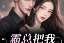 霸总把我当替身后,他真的后悔了白筱帆盛延热门小说排行榜霸总把我当替身后,他真的后悔了免费小说-树莓文学