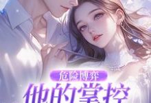 危险博弈：他的掌控与她的反杀叶时欢免费小说危险博弈：他的掌控与她的反杀推荐完结小说-树莓文学