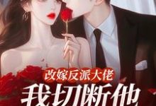 改嫁反派大佬，我切断他黑化根源！完整版小说改嫁反派大佬，我切断他黑化根源！(江知微萧著)全章小说阅读-树莓文学
