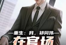 (全文)重生：我，祁同伟，在官场大放光彩(祁同伟侯亮平)全本免费在线阅读-树莓文学