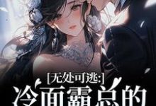 (全文)无处可逃：冷面霸总的专宠小娇妻完结小说推荐傅周烬苏挽挽全本书籍阅读-树莓文学