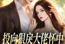 (全文)投向狠戾大佬怀中，娇娇诱他上瘾（薄京慈姜柠）免费小说投向狠戾大佬怀中，娇娇诱他上瘾试读更新章节-树莓文学