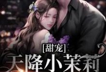 甜宠：天降小茉莉住进了我家沈津南林听完结小说推荐甜宠：天降小茉莉住进了我家全本书籍阅读-树莓文学