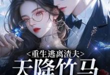 重生逃离渣夫，天降竹马太会钓推荐完结小说重生逃离渣夫，天降竹马太会钓(姜矜贺祈年)免费小说全本-树莓文学