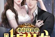 (全文)冰山总裁的贴身狂龙沈念全本免费在线阅读-树莓文学