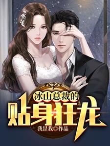 (全文)冰山总裁的贴身狂龙沈念全本免费在线阅读