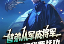 (全文)替弟从军成将军，归来问我要战功叶临渊最新完结小说替弟从军成将军，归来问我要战功免费小说全本-树莓文学